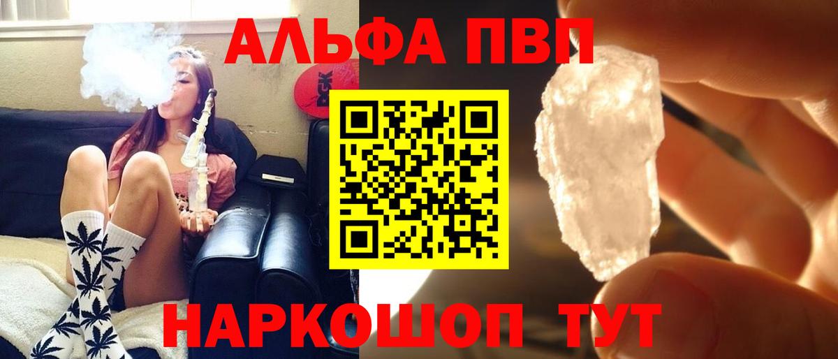 A PVP СК Асино
