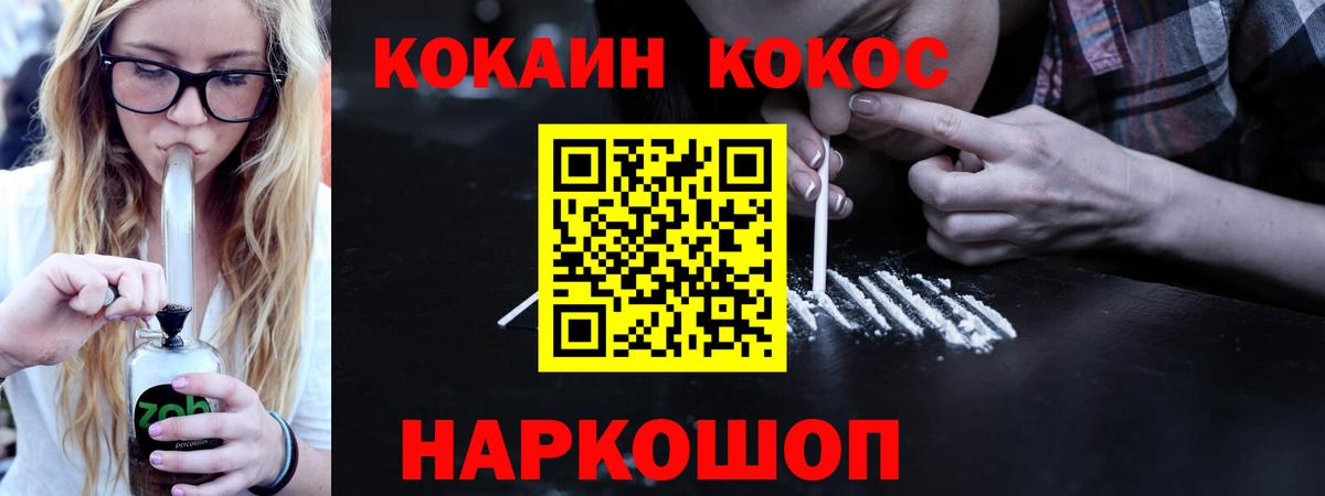 A PVP Асино