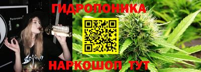 тгк Аргун
