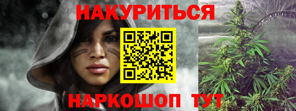 Канабис сатива Асино
